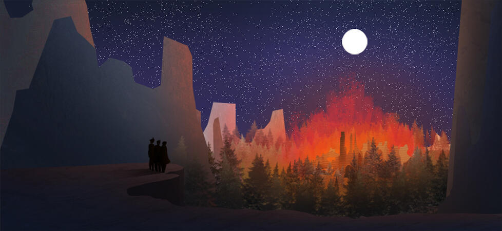 Looking Down Between the Trees